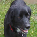 Butler was adopted in August, 2004